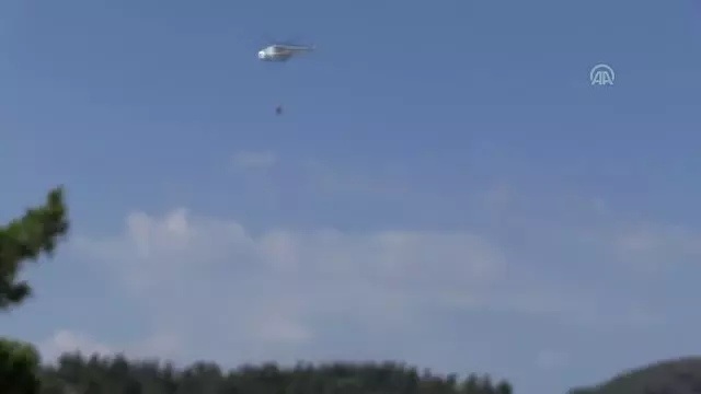 Orman yangını