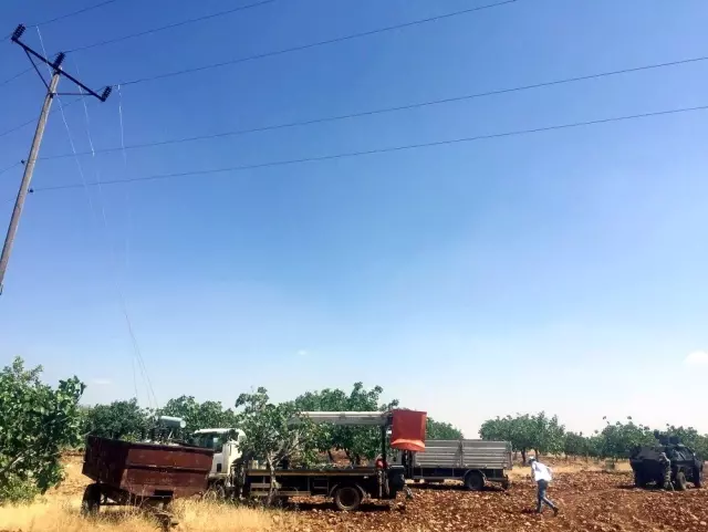 Şanlıurfa'da kaçak mobil trafo ele geçirildi