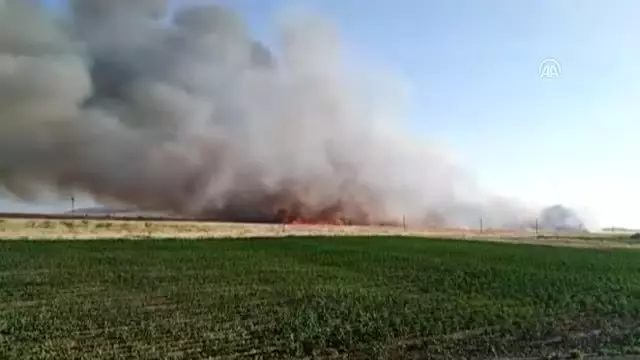 Suriye sınırında yangın