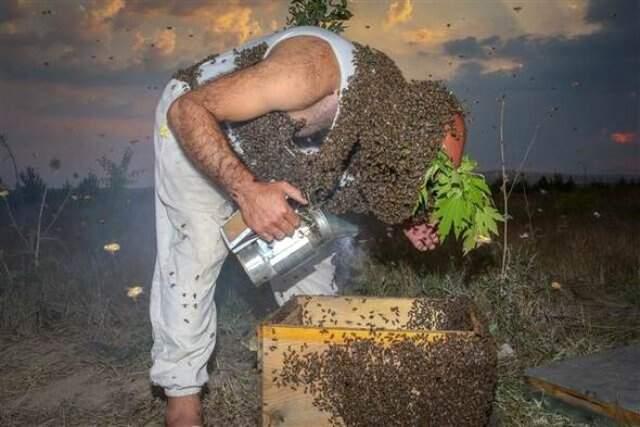 'Arı Adam' hedefi Guinness'e girmek!