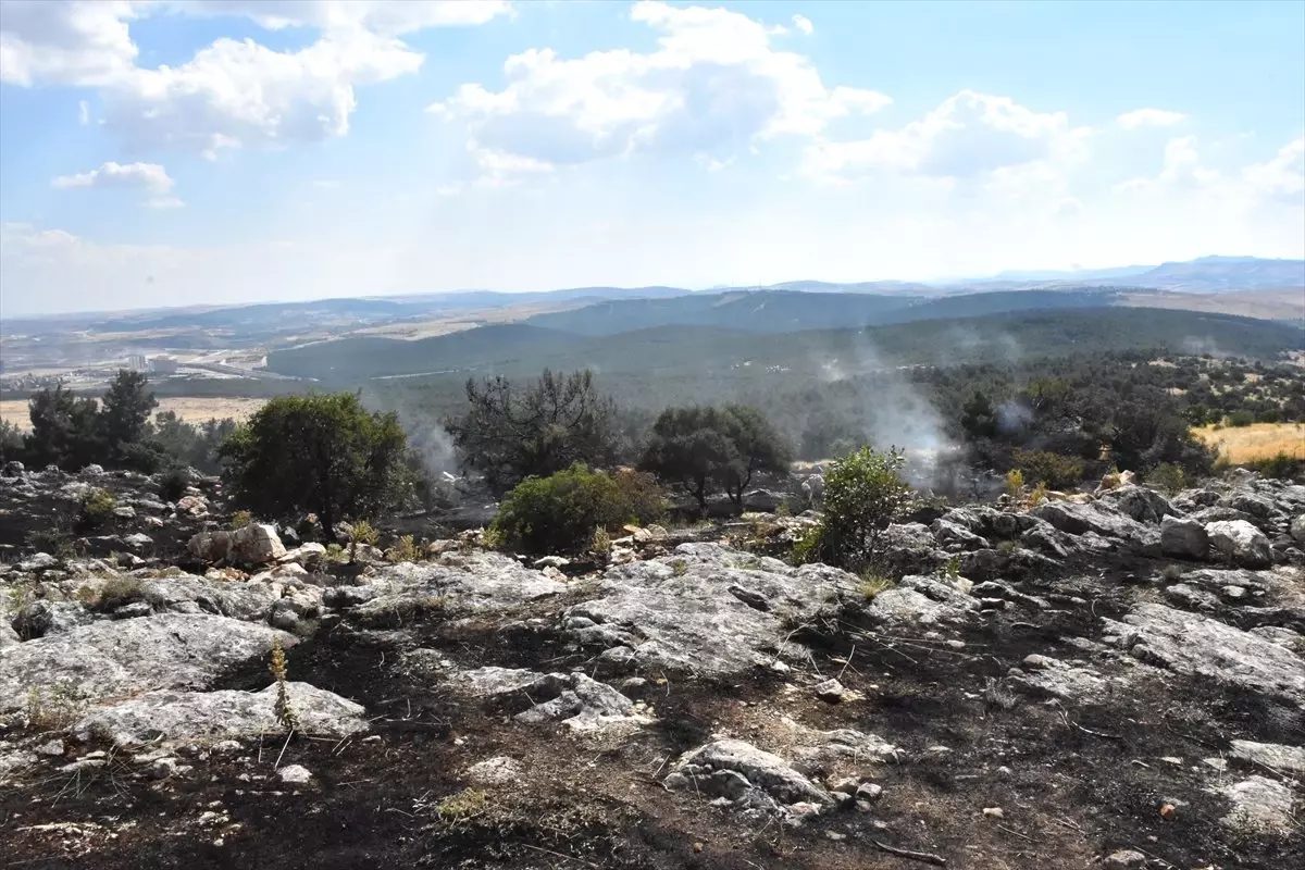 Gaziantep'te orman yangını