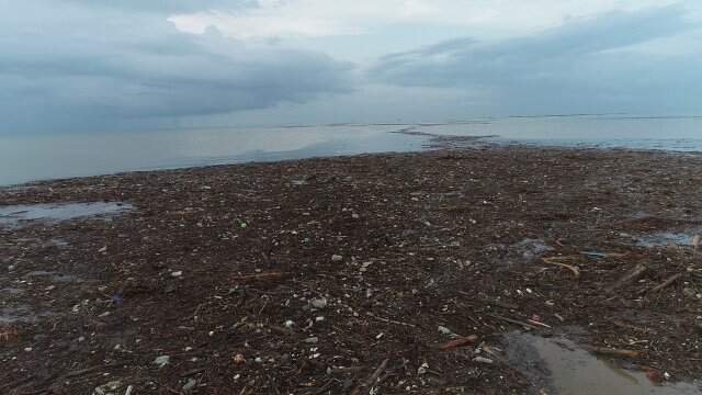 Selin sürüklediği ağaçlar deniz yüzeyini kapladı, vatandaşlar topladı