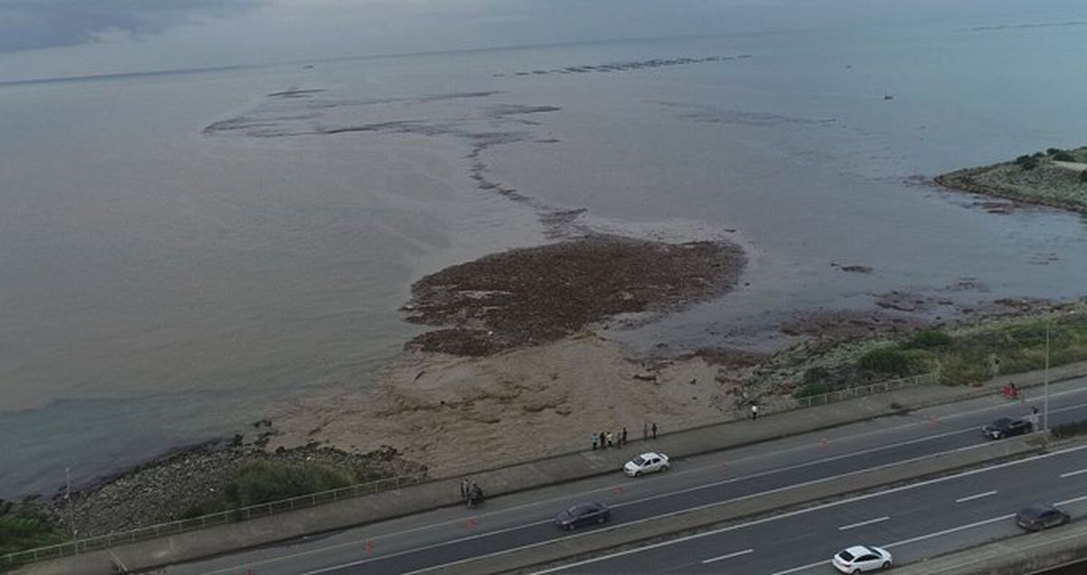 Selin sürüklediği ağaçlar deniz yüzeyini kapladı, vatandaşlar topladı