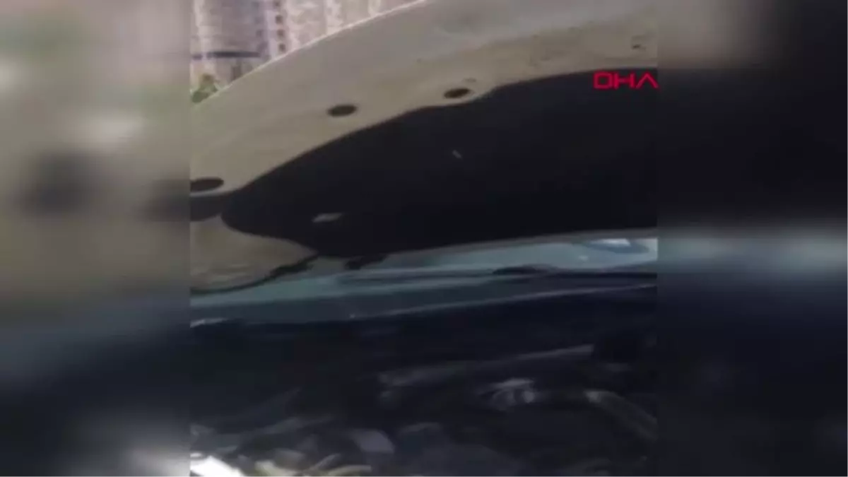 Sivas'ta 28 kilo eroin ele geçirildi