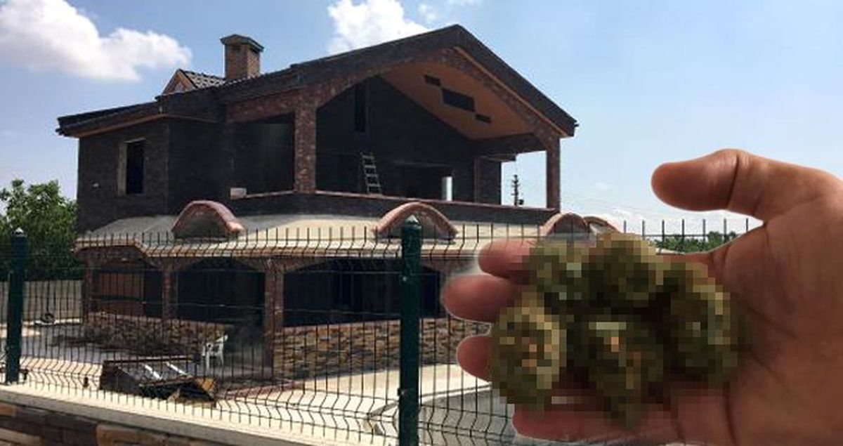 Uyuşturucu imalathanesine çevrilen villada genetiği değiştirilmiş esrar ele geçirildi!