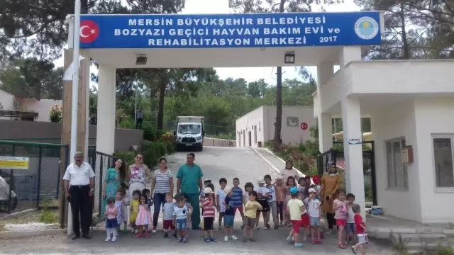 Minik öğrenciler, hayvanları ziyaret etti