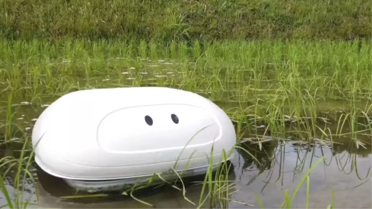 Nissan, Pirinç Üreticilerinin İşini Kolaylaştıracak Bir Robot Üretti