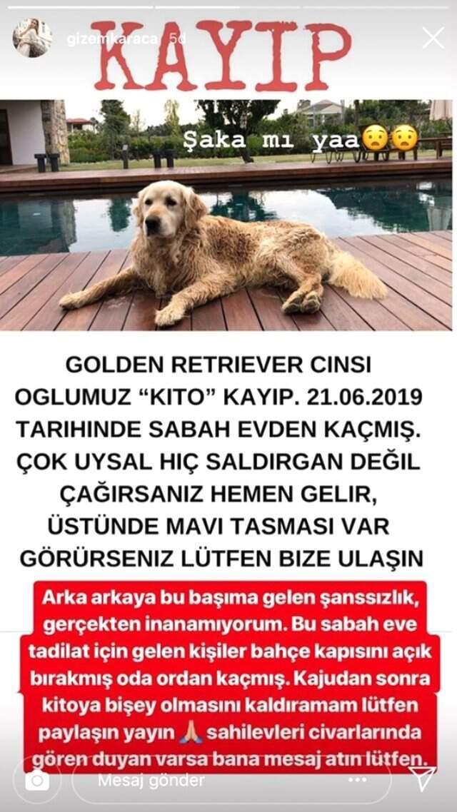 Oyuncu Gizem Karaca, köpeğinin bulunması için takipçilerinden yardım istedi