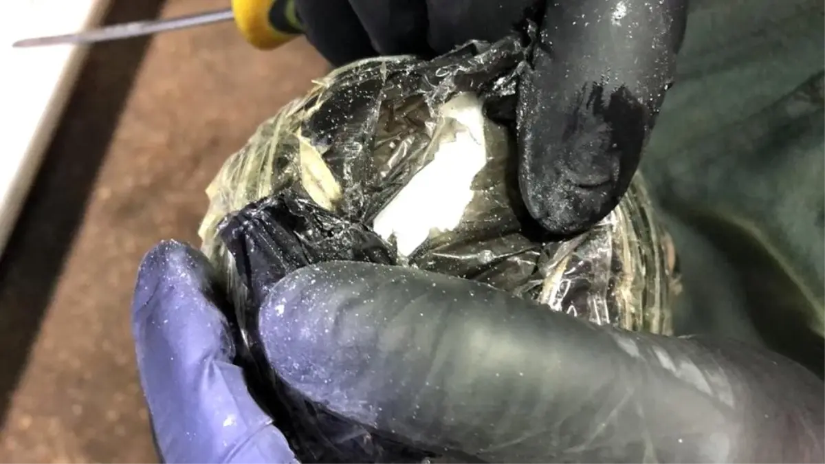 Van'da uyuşturucu operasyonu