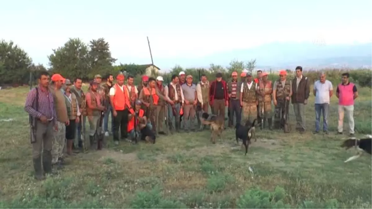 Yaban domuzlarına yönelik sürek avı