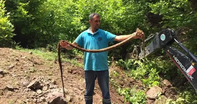 İçme suyu hattından çıkan 3 metrelik 'kunduz' görenleri şaşkına çevirdi