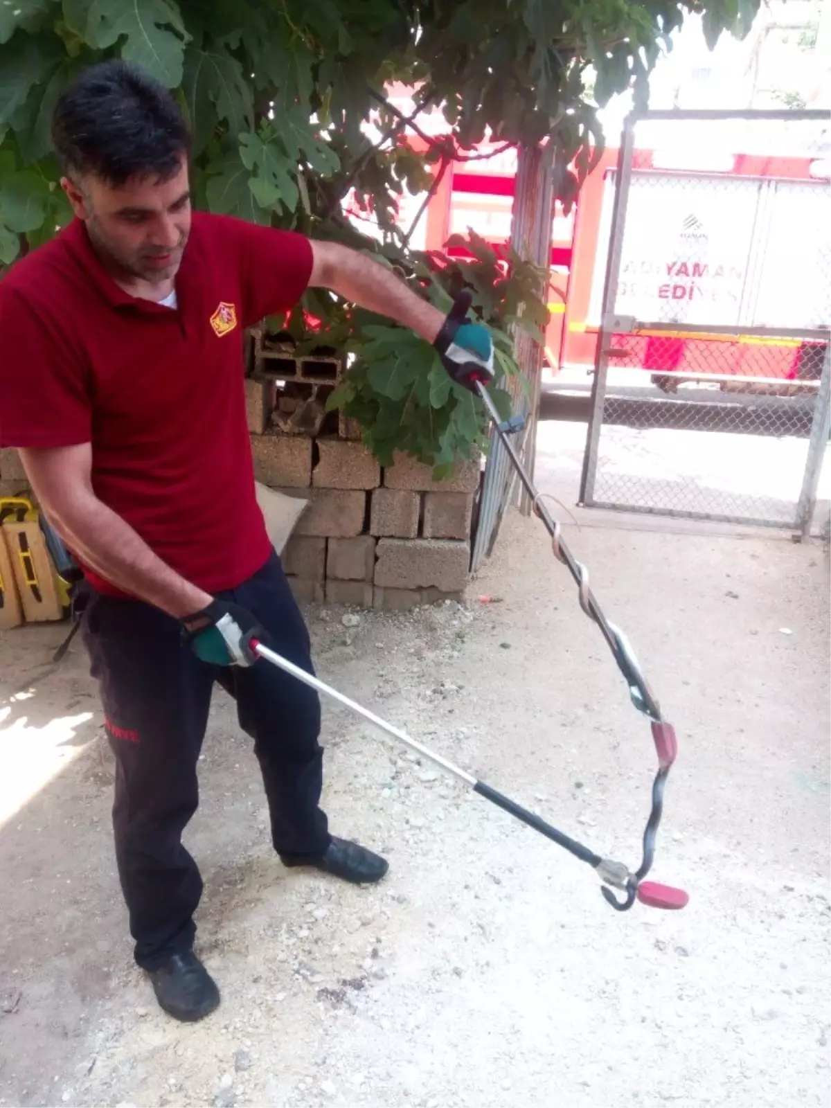 İkamette giren yılan paniğe neden oldu