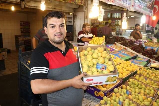 Malatya kayısısı tezgaha indi, kilosu 6-7 liradan satılıyor