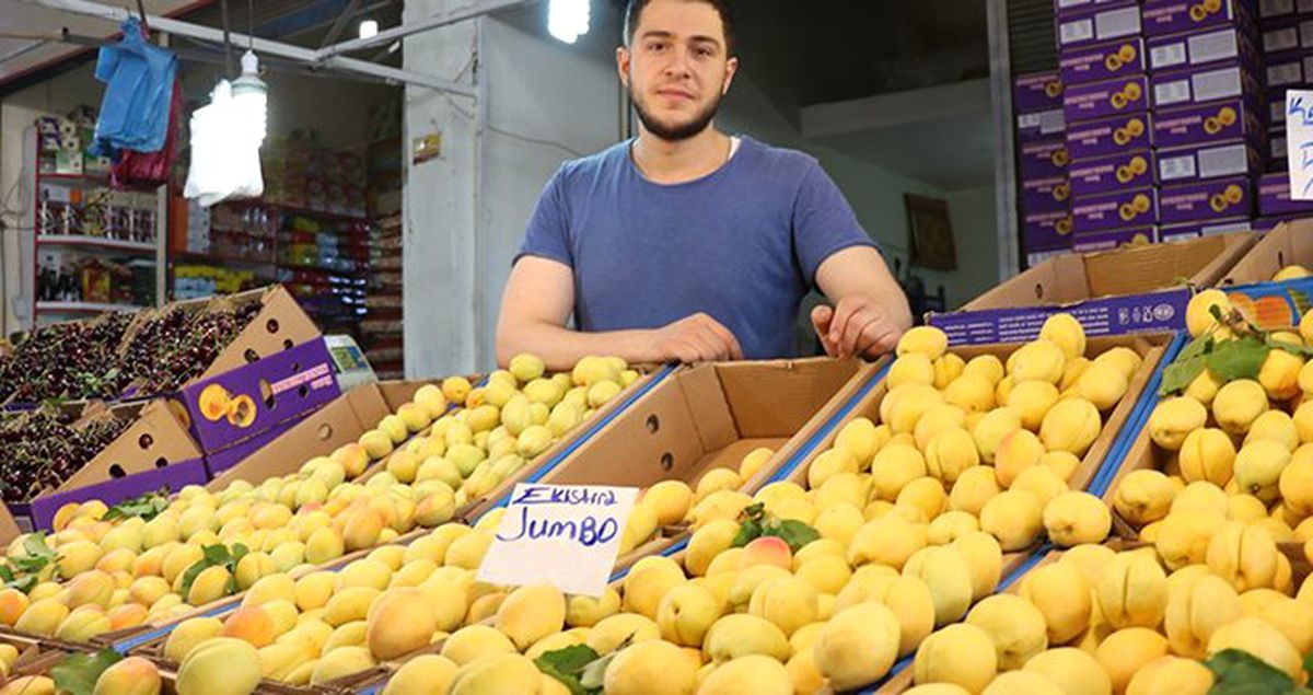 Malatya kayısısı tezgaha indi, kilosu 6-7 liradan satılıyor