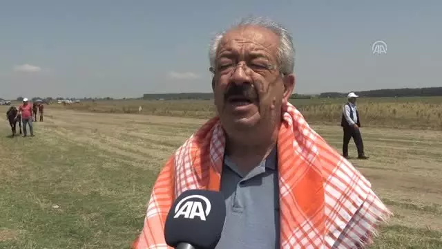 Rahvan at yarışları yapıldı Rahvan at yarışları yapıldı