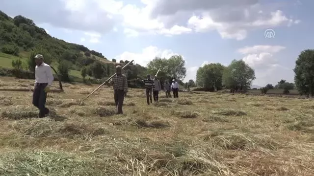 Asırlardır