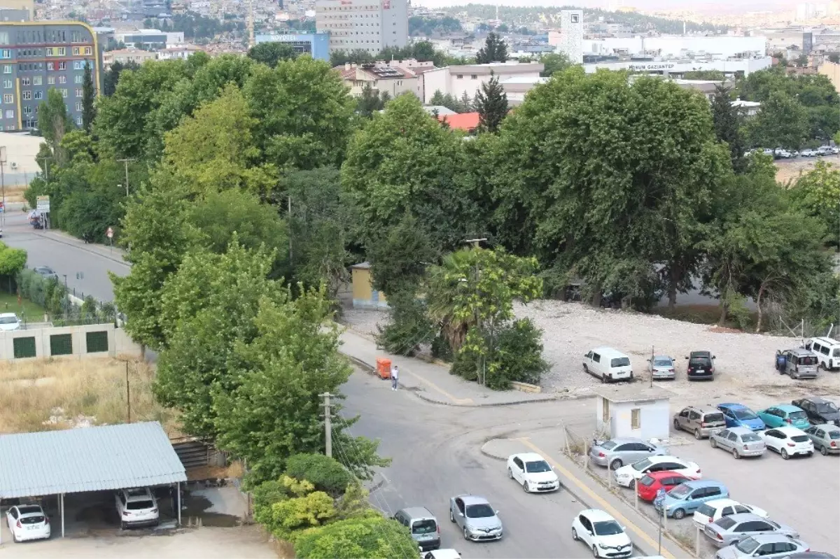 En çevreci yıkım sona erdi