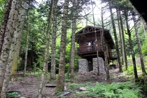 Gölcük Tabiat Parkı'nda 7 milyon liraya yapılan bungalovlar sökülecek