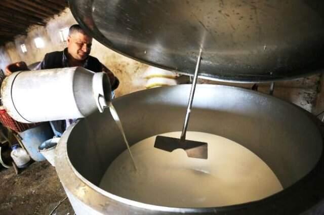 İneklerini satıp manda yetiştirmeye başladı! Sütün litresini 10 liradan satıyor