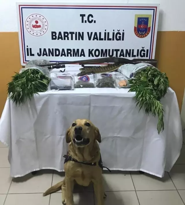 Jandarmadan uyuşturucu operasyonu