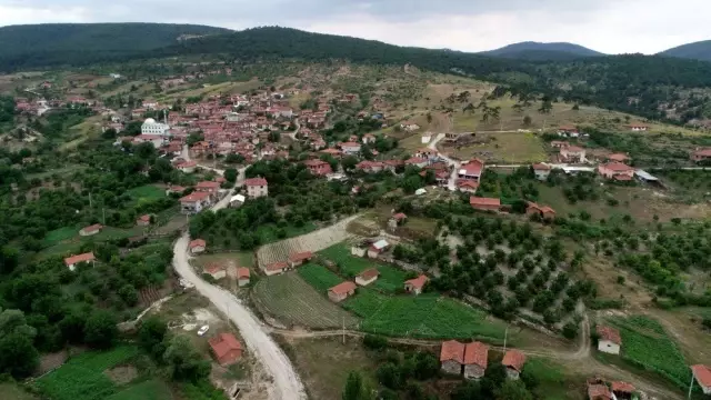 Türkiye'nin en kaliteli kirazını yetiştiriyorlar, tek şikayetleri para kazanamamak