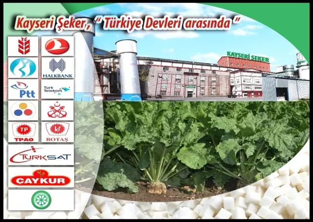 Özelleştirme İdaresi, Kayseri Şeker'deki hissesini Varlık Fonu'na devretti