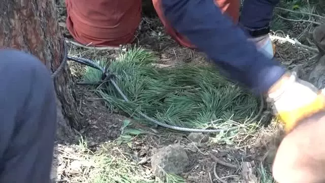 Sarıkamış yabani hayvanlarla ilgili eğitim merkezi olacak Sarıkamış yabani hayvanlarla ilgili eğitim merkezi olacak
