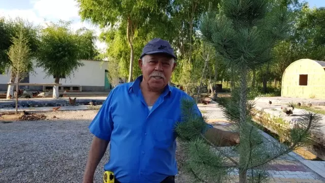 Sultan Sazlığına Fidan Dikimi Yapıldı Sultan Sazlığına Fidan Dikimi Yapıldı