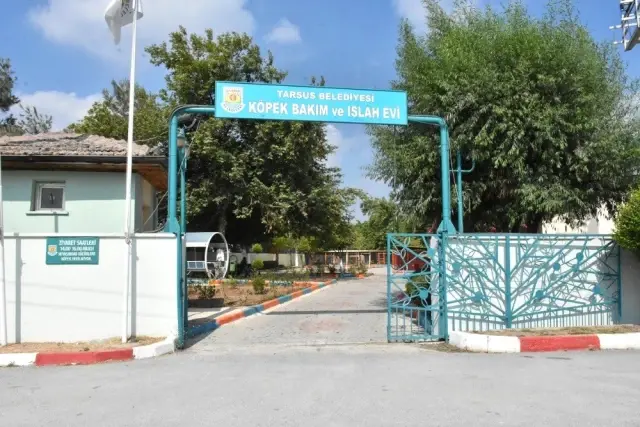 Tarsus'taki köpek bakım ve ıslah evinde tadilat yapıldı Tarsus'taki köpek bakım ve ıslah evinde tadilat yapıldı