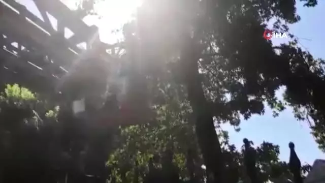 Ağaçta mahsur kalan kedinin yardımına itfaiye yetişti