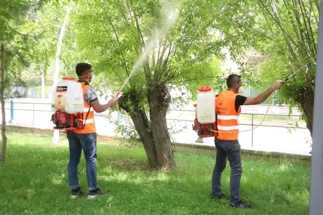 Aziziye'de haşerelere geçit yok