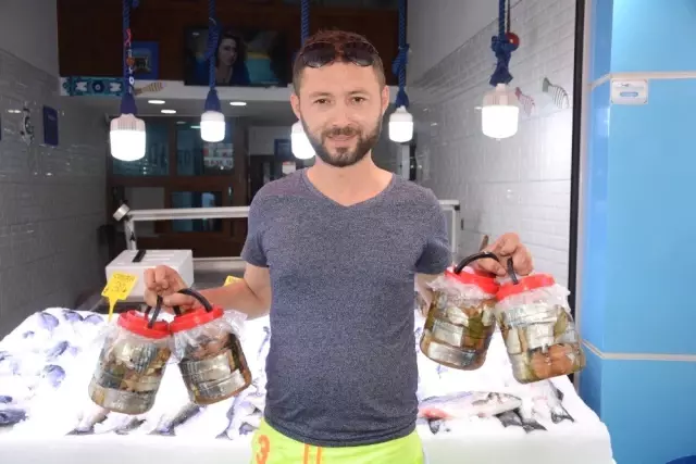 Palamut lakerdalarının kavanozu 130 liradan satılıyor