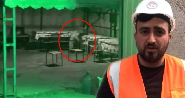 Ayıyı bir türlü kovamayan bekçi isyan etti: Köpeğe 'hoşt' diyorsun gidiyor, buna ne diyeceğiz?