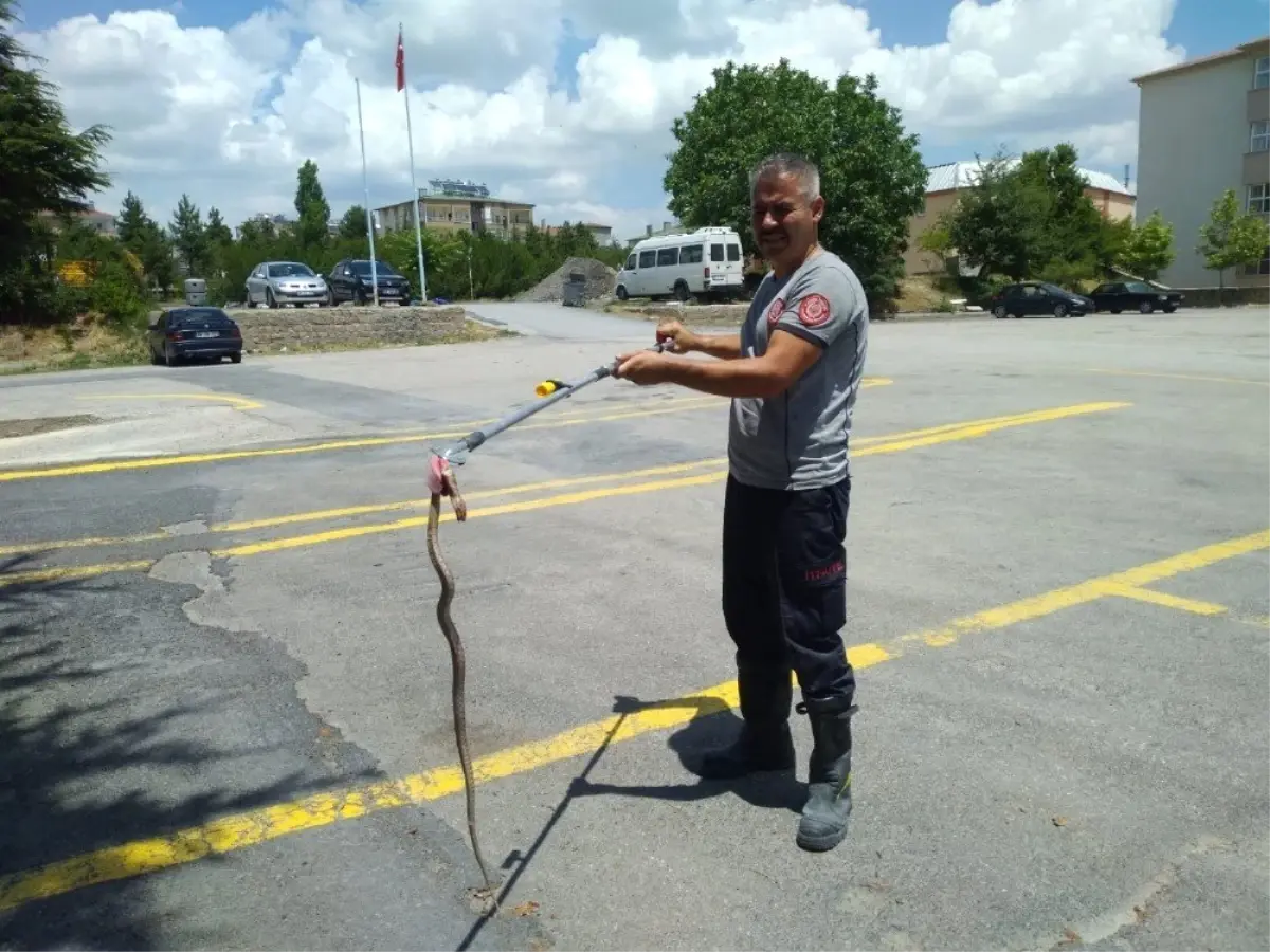 Bodruma giren yılan itfaiye ekiplerince çıkarıldı