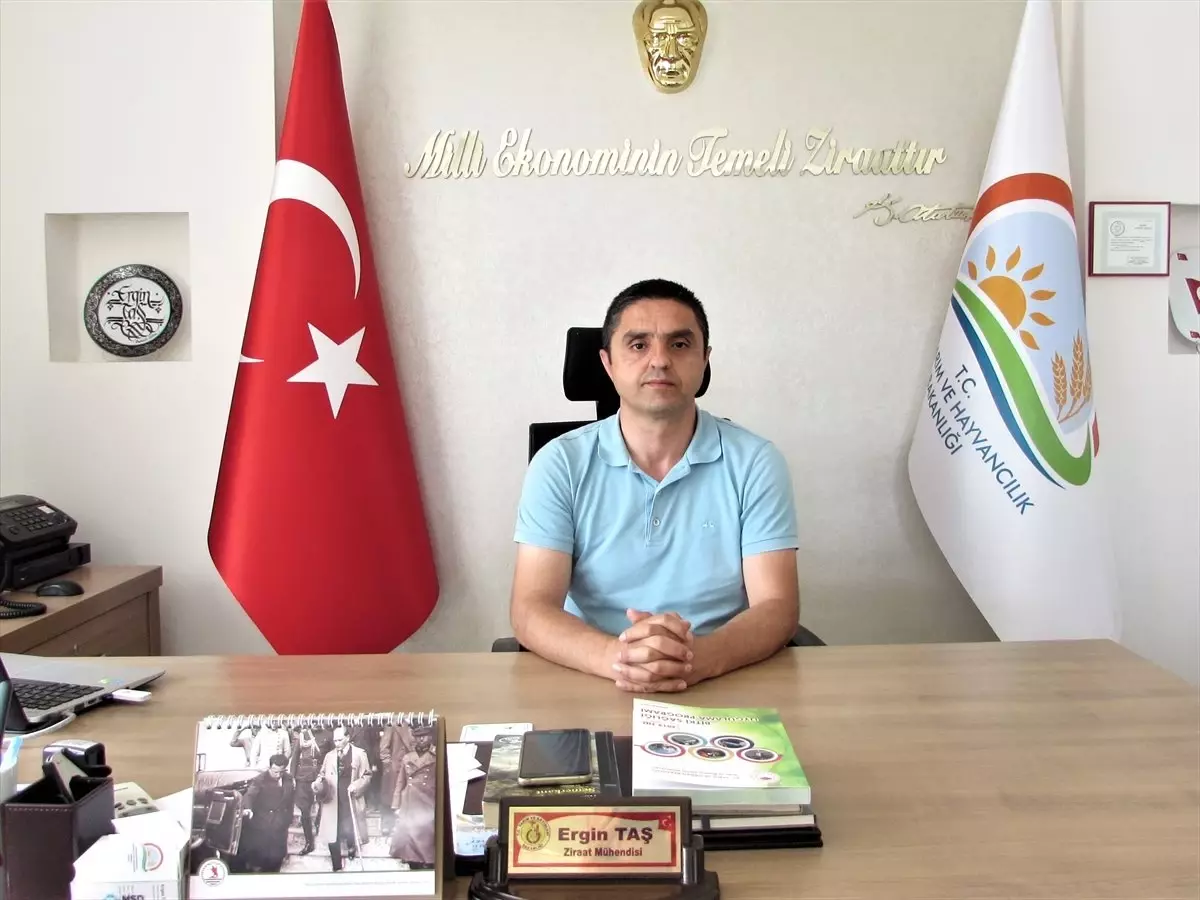 Çiftçilere 'saman israfı' uyarısı