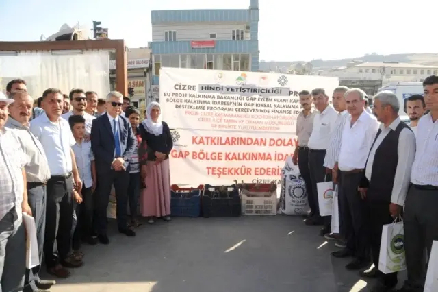 Cizre'de çiftçilere 10 bin adet hindi palazı ve 60 ton yem dağıtıldı