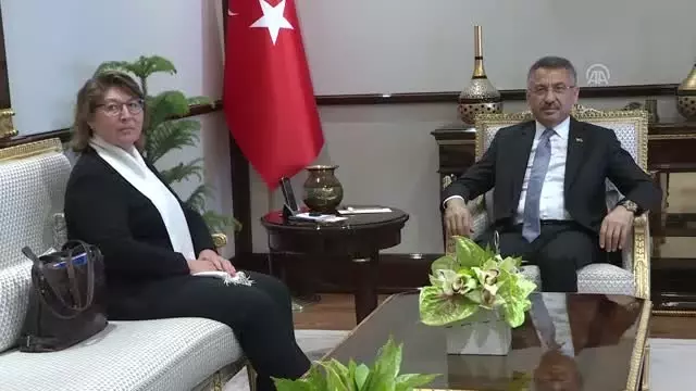 Cumhurbaşkanı Yardımcısı Oktay'ın kabulü