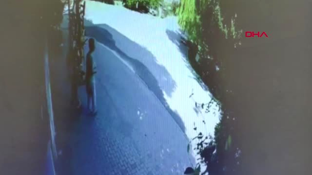 DENİZLİ KÖPEĞİN OTOMOBİL TARAFINDAN EZİLME ANI KAMERADA