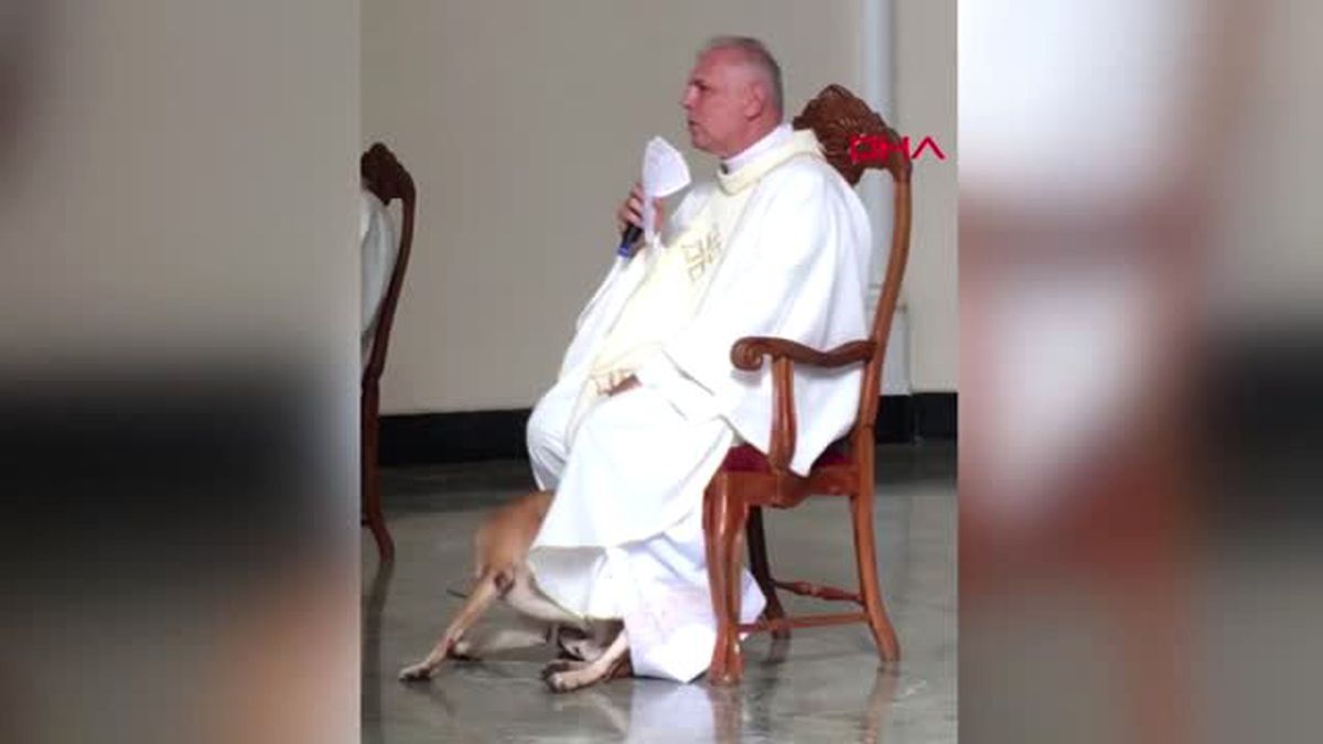 DHA DIŞ- Kilisede ayin sırasında oyun oynamak isteyen köpek kamerada