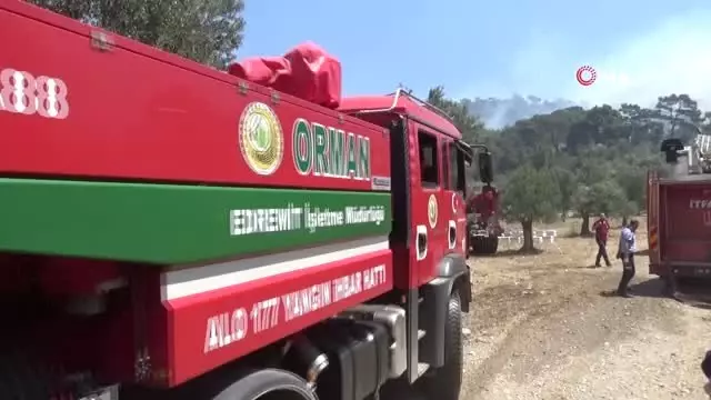 Havran'daki orman yangını kontrol altına alındı