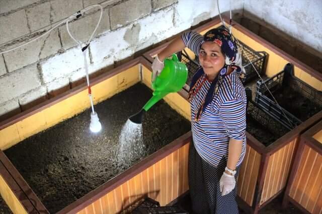 Solucan gübresi üretimi yapan kadın girimci ayda 3 bin lira kazanıyor