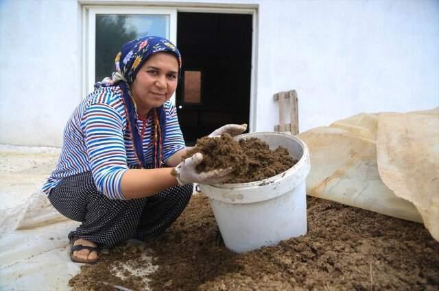 Solucan gübresi üretimi yapan kadın girimci ayda 3 bin lira kazanıyor