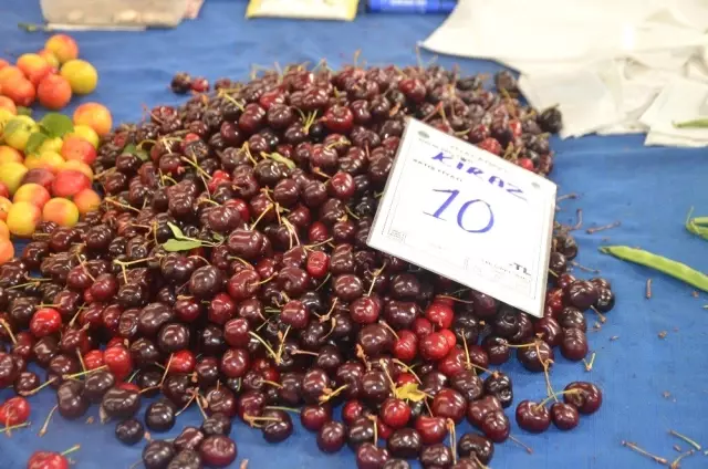 Tezgahların ilgi odağı Bilecik kirazı