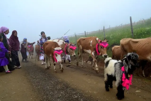 Yayla göçü renkli görüntülerle başladı