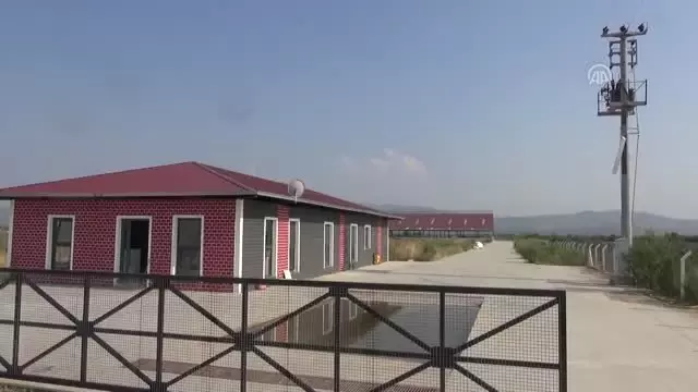 Aydın'da