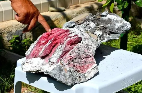 Yüzerken kayalıkların arasında buldu, yerinden çıkarınca gözlerine inanamadı Yüzerken kayalıkların arasında buldu, yerinden çıkarınca gözlerine inanamadı