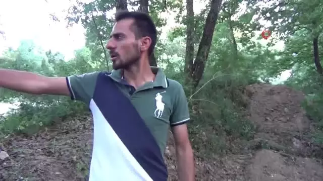Bursa'da hayvan katliamı...Kurtlardan kurtulmak isterken köpekleri zehirledi