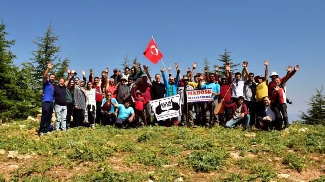 Koloni halindeki böcekleri görmek için akın akın şehre geliyorlar
