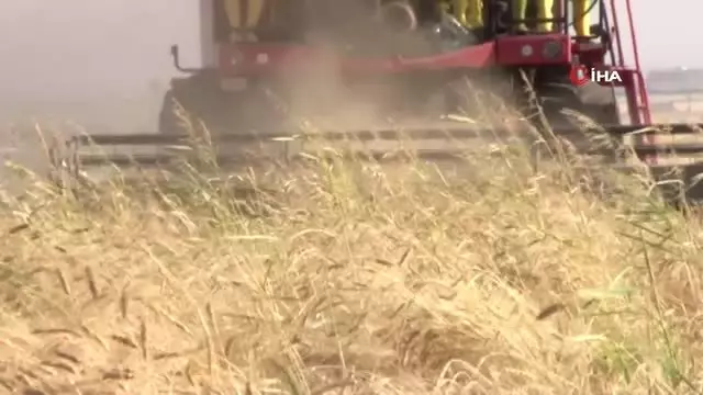 Mardin'de hububatçılar ithalata sınırlama bekliyor