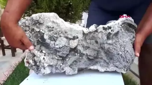 MUĞLA BU KEZ 'FOSİL' BULDU MUĞLA BU KEZ 'FOSİL' BULDU